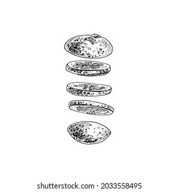 Flying pieces of fresh orange. Vector vintage hatching black illustration. Isolated on white background. Hand drawn design