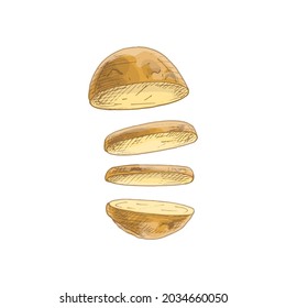 Flying pieces of fresh potato. Vector vintage hatching color illustration. Isolated on white background. Hand drawn design