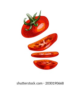 Fliegende Stücke roter Tomate. Vektor Vintage Schraffur Farbe Illustration. Einzeln auf weißem Hintergrund. Handgezeichnetes Design