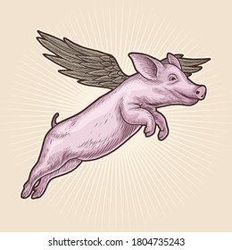 Flying Pig Handdrawn Vector Illustration