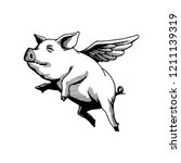 flying pig illustration drawing
