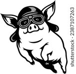 Flying pig with vintage helmet and goggles