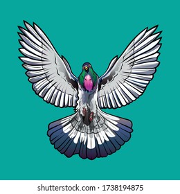 Flying pigeon. illustration. One pigeon. Flying. vector