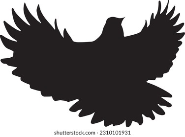 Flying pigeon silhouette on white background