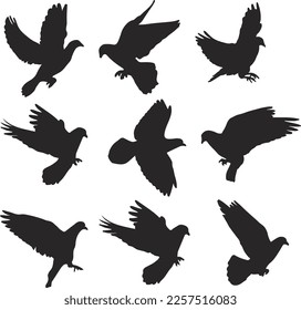 Flying Pigeon Silhouette Vektor Art.