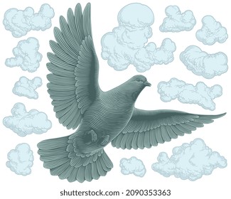 Flying pigeon in the sky. Editable hand drawn illustration. Vector engraving. Isolated on white background. 8 EPS