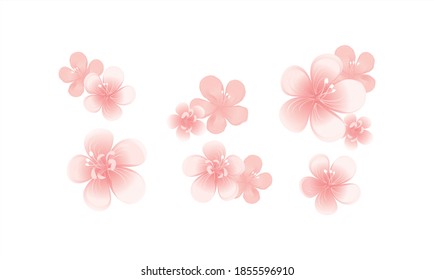 Flying pink peach flowers isolated on white background. Apple-tree flowers. Cherry blossom. Border. Horizontal. Vector EPS 10 cmyk