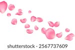 Flying pink rose petals or sakura flower blossom vector background, spring floral wedding invitation, Valentine or Mother Day card. Realistic 3d rose flower petals, sakura, cherry or peach tree bloom