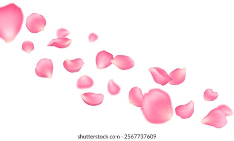 Flying pink rose petals or sakura flower blossom vector background, spring floral wedding invitation, Valentine or Mother Day card. Realistic 3d rose flower petals, sakura, cherry or peach tree bloom