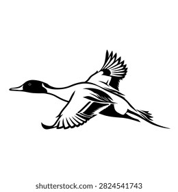 Flying pintail duck vector illustration in black and white style