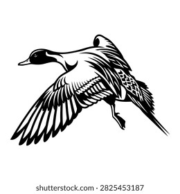 Flying pintail duck vector illustration black and white