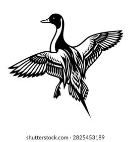 Flying pintail duck vector illustration black and white