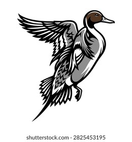 Flying pintail duck vector illustration black and white