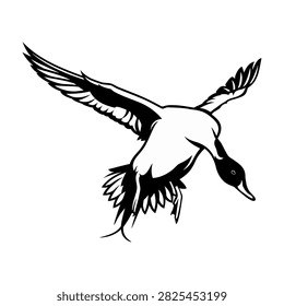 Flying pintail duck vector illustration black and white