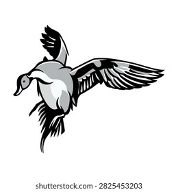 Flying pintail duck vector illustration black and white