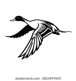 Flying pintail duck vector silhouette illustration black and white design