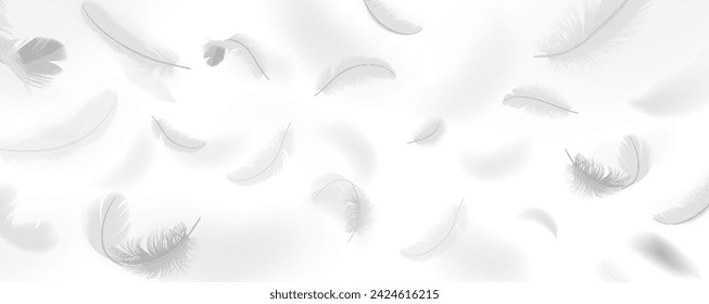 Flying plumage pattern realistic vector illustration. Floating quills. Weightless bird feathers 3d design elements on white background