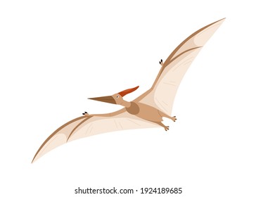 Flying pterosaur or pterodactyl dino. Extinct dinosaur of ancient jurassic period. Prehistorical character. Colored flat cartoon vector illustration isolated on white background