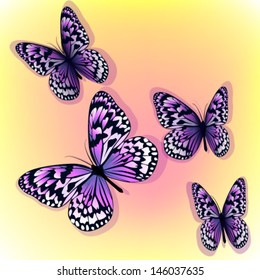 flying purple butterfly