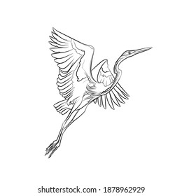 Flying purple heron. Line drawing. Black and white illustration. Vector.