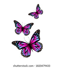 Flying purple-pink butterflies. Vector illustration
