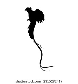 Flying Quetzal Bird Silhouette. Good To Use For Element Print Book, Animal Book and Animal Content