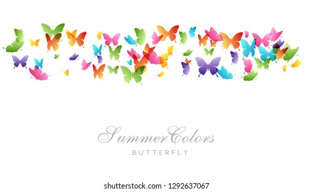 Flying rainbow butterflies. Vector design element. Horizontal banner with decorative divider