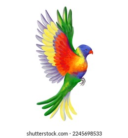 Lorikeet vectorial de arco iris volador. Loro vivo y colorido. Pájaro de la selva tropical. Ilustración realista aislada en blanco.