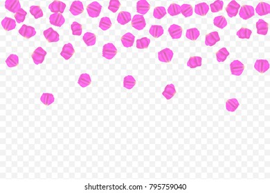 Flying random, chaotic, pink, lilac, petals on transparent background.