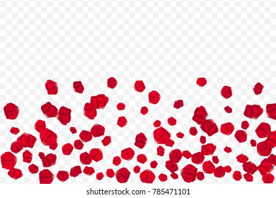 Flying random, chaotic red petals on transparent background.