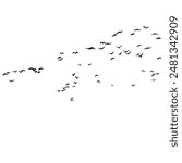 Flying Random Flock Birds In the Air Silhouette Vector EPS 10