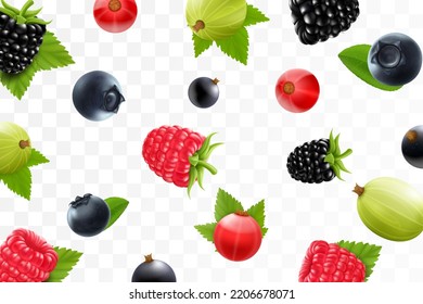 Flying raspberry, blackberry, gooseberry, currant, cranberry, and blueberry on a transparent background. Berries fall at different angles. Focused and blurry objects. 3d realistic vector.