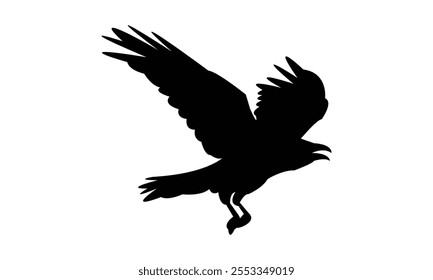 Flying Raven Bird Silhouette Design  And Vector Illustration. 
