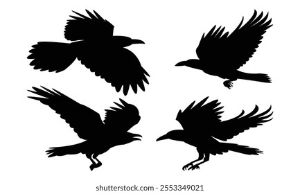 Flying Raven Bird Silhouette Design  And Vector Illustration. 
