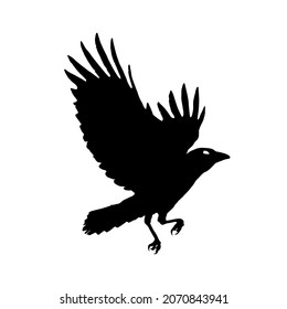 The flying raven icon. Black silhouette of a bird. Vector illustration isolated on a white background for design and web.