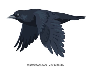 Flying raven with spread wings, isolated large black bird with plumage and clean feathers. Biodiversity of forest or woods, avian animal or rook. Crown in nature habitat. Vector in flat style