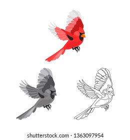 Flying red cardinal color, line and monochrome icon set vector concept