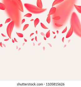 Flying red petals of flower.Blurred spring background.Vector illustration