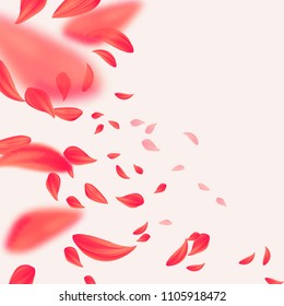 Flying red petals of flower.Blurred spring background.Vector illustration