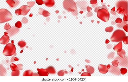 Flying Red rose petals on a transparent background.Vector illustration