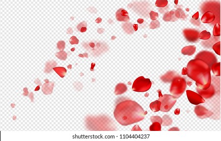 Flying Red rose petals on a transparent background.Vector illustration