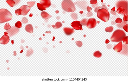 Flying Red rose petals on a transparent background.Vector illustration