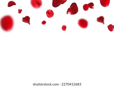 Flying red rose petals on a white background. Abstract red flower petal flying illustration Vector.