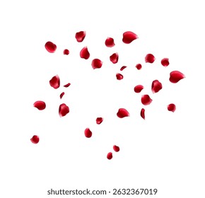 Flying red rose petals on a white background. Floating flower 