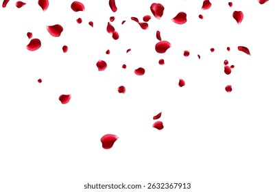 Flying red rose petals on a white background. Floating flower 