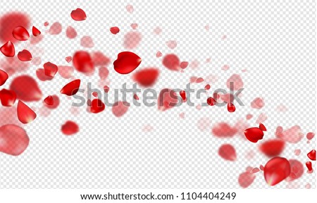 Flying Red rose petals on a transparent background.Vector illustration