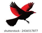 flying red winged blackbird portrait vector illustration 