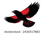 flying red winged blackbird portrait vector illustration 