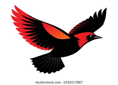 flying red winged blackbird portrait vector illustration 