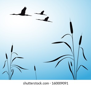 Flying reeds background